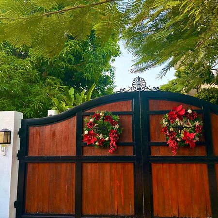 Tana Mysterious Garden Villa Đảo Đảo Panglao Ngoại thất bức ảnh
