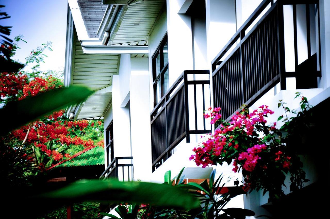 Tana Mysterious Garden Villa Đảo Đảo Panglao Ngoại thất bức ảnh