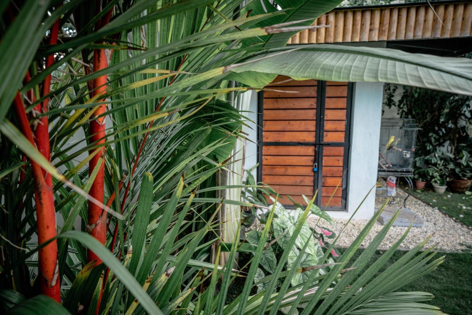 Tana Mysterious Garden Villa Đảo Đảo Panglao Ngoại thất bức ảnh