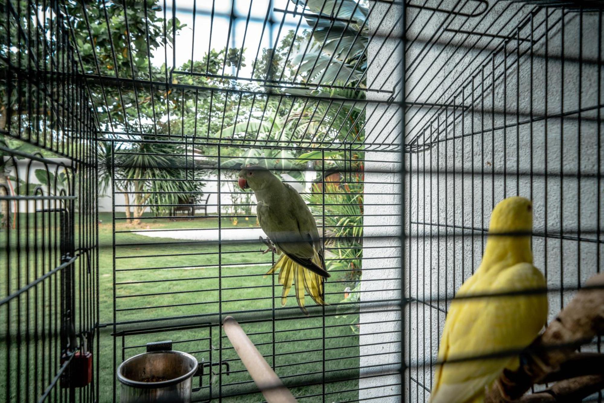 Tana Mysterious Garden Villa Đảo Đảo Panglao Ngoại thất bức ảnh