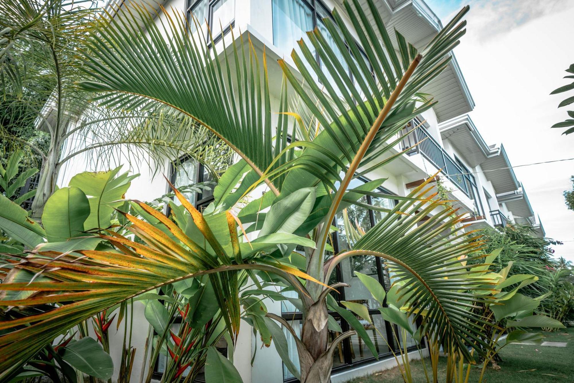 Tana Mysterious Garden Villa Đảo Đảo Panglao Ngoại thất bức ảnh