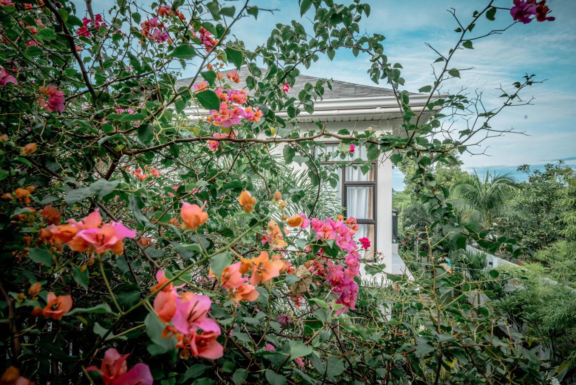 Tana Mysterious Garden Villa Đảo Đảo Panglao Ngoại thất bức ảnh
