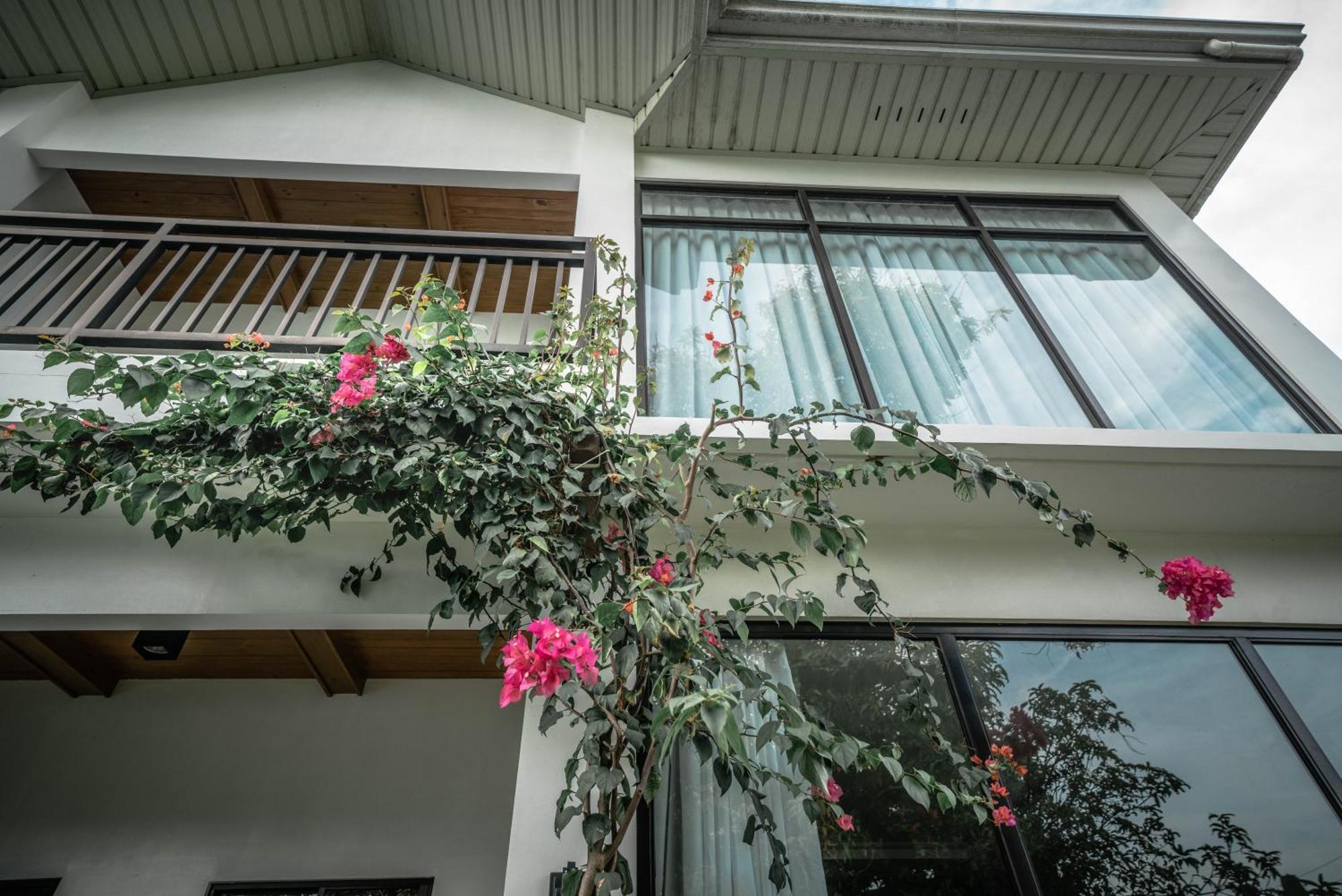 Tana Mysterious Garden Villa Đảo Đảo Panglao Ngoại thất bức ảnh
