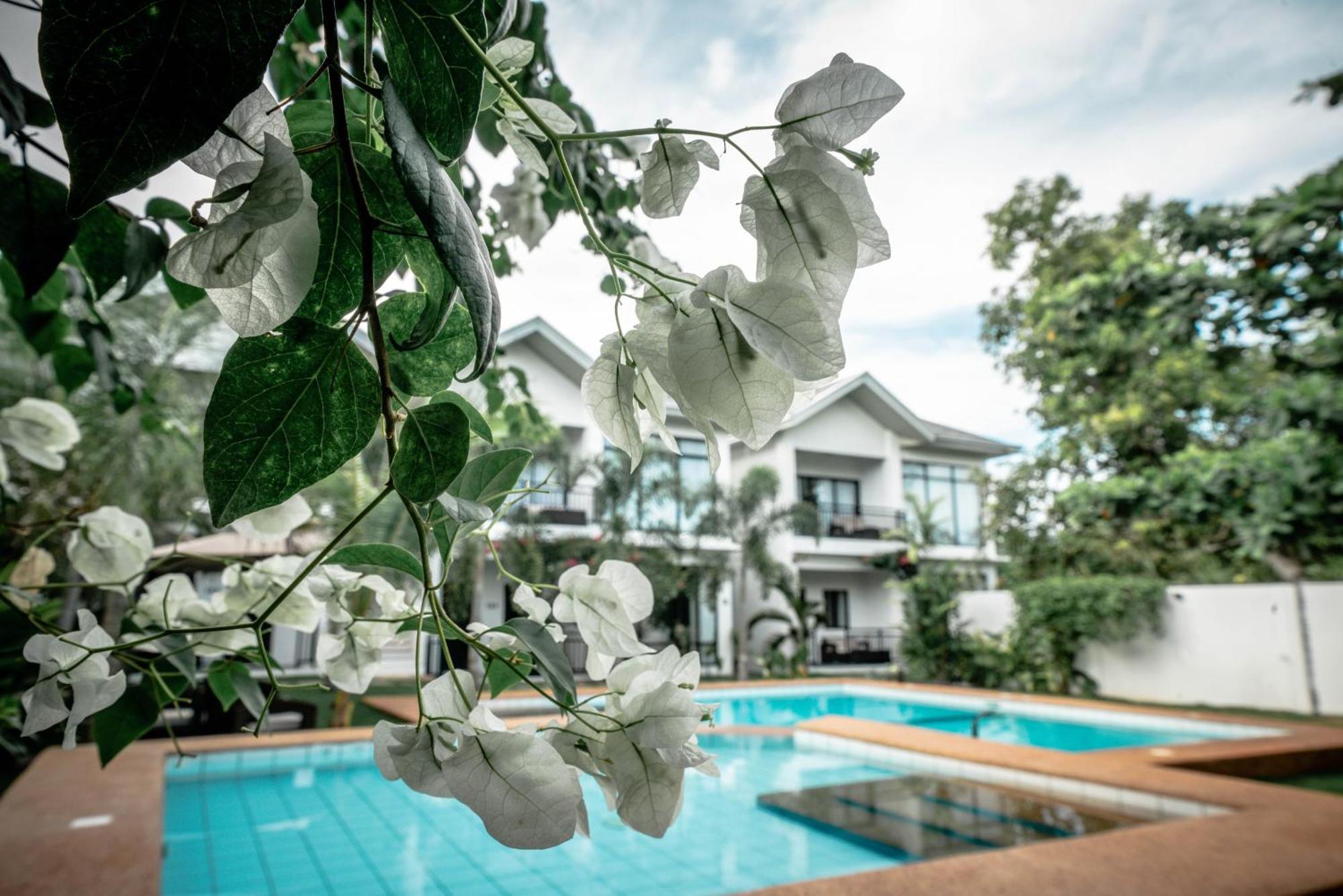 Tana Mysterious Garden Villa Đảo Đảo Panglao Ngoại thất bức ảnh